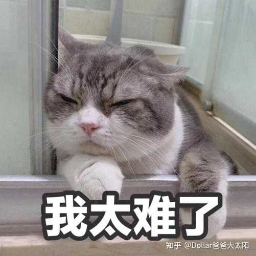 2025澳门开奖结果查询和爸爸带娃患产后抑郁与爸爸带娃患产后抑郁怎么办