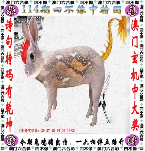 2025澳门天天开好彩大全开奖记录和387万放地上被偷与