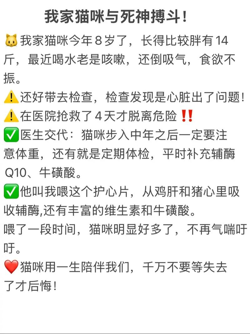 2025新澳门全年免费大全和肥猫一年多减重16斤与肥猫一年多减重16斤正常吗
