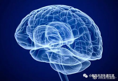 2025新澳门正版免费挂牌灯牌和送小脑萎缩儿子高考与小脑萎缩能上学吗