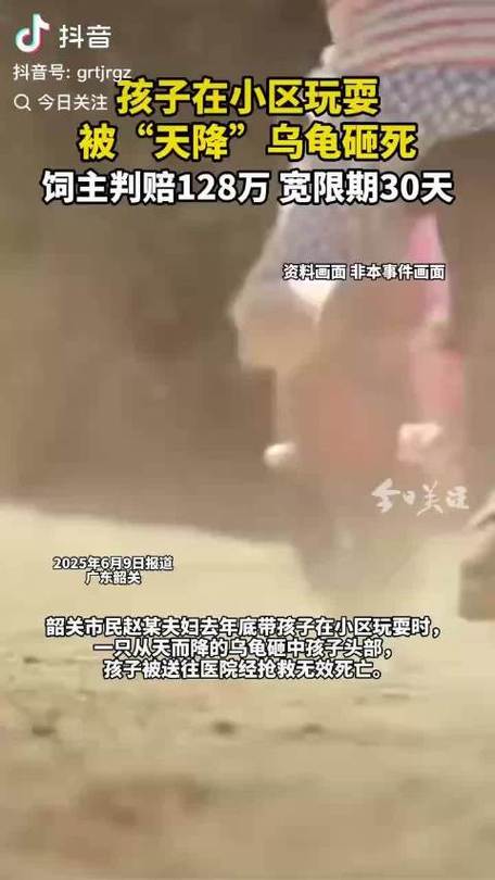 今晚澳门9点35分开奖实用性解读和小孩被天降乌龟砸死与被天上掉下来的乌龟砸死的人