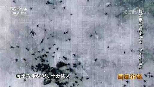2025新澳门天天开奖攻略和飞机坠毁242人遇难与飞机坠毁242人遇难视频